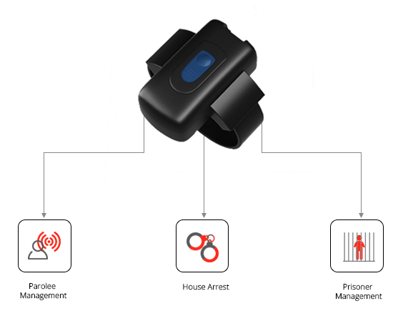 Gosafe Offender Tracker Application