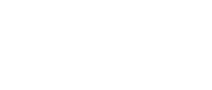 flespi flespi