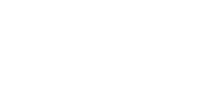 wialon wialon