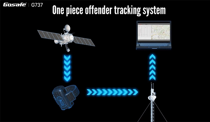 Once Piece Offender Tracker G737